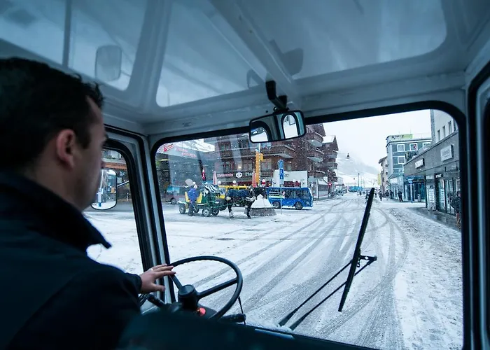 酒店 Butterfly 采尔马特