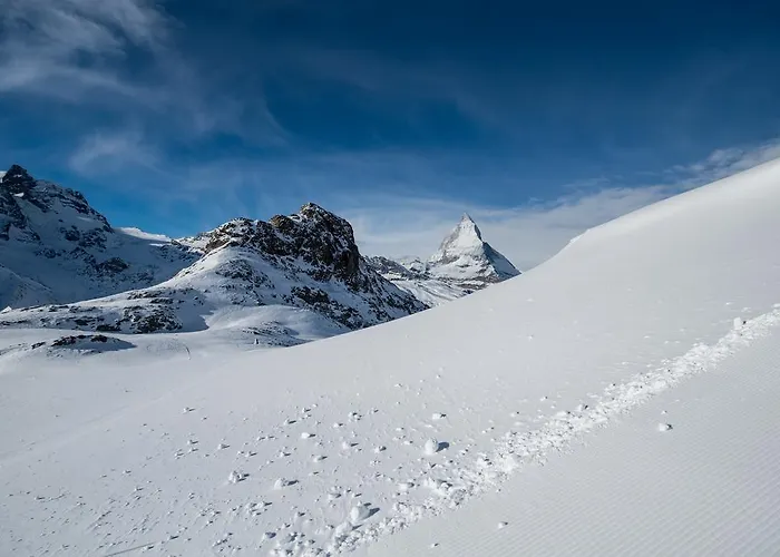 Butterfly 酒店 采尔马特